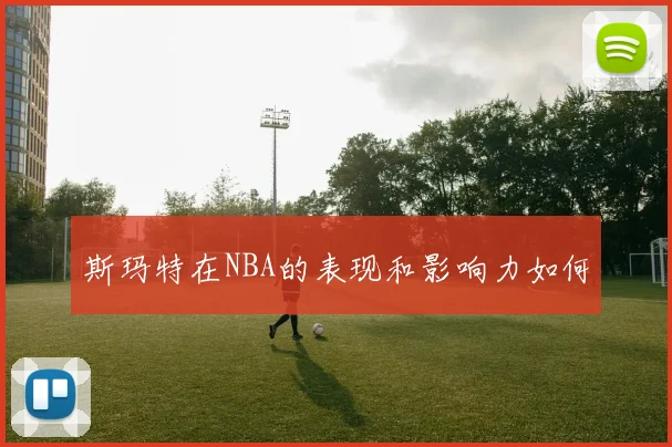 斯玛特在NBA的表现和影响力如何