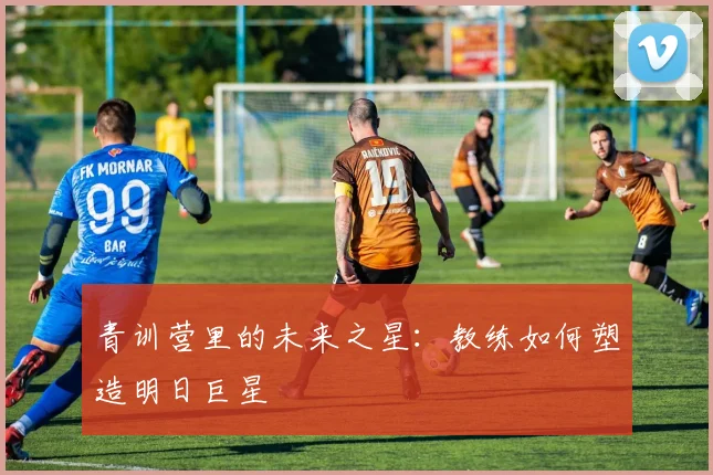 青训营里的未来之星：教练如何塑造明日巨星