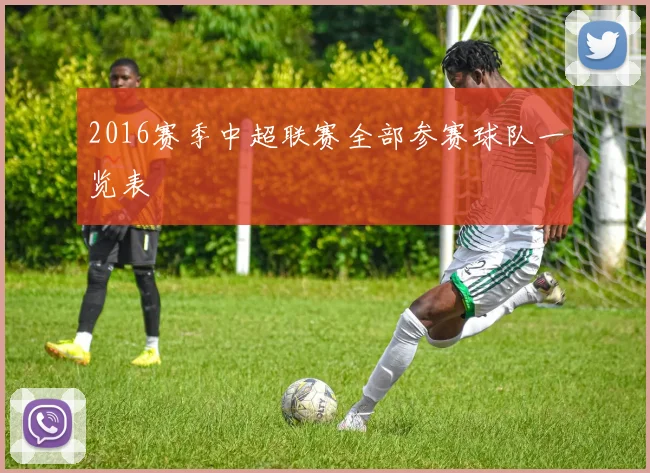 2016赛季中超联赛全部参赛球队一览表