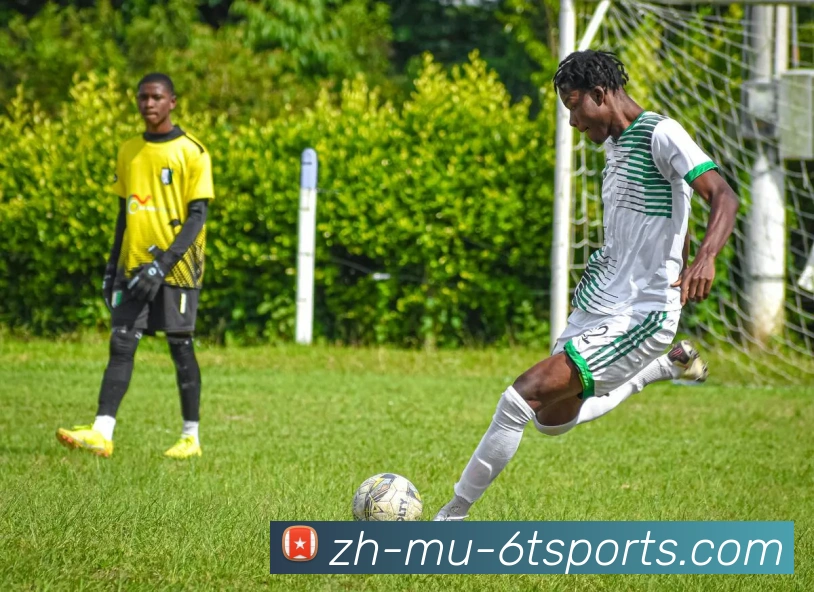 6T体育品牌故事