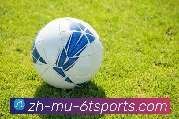 6T体育服务体系